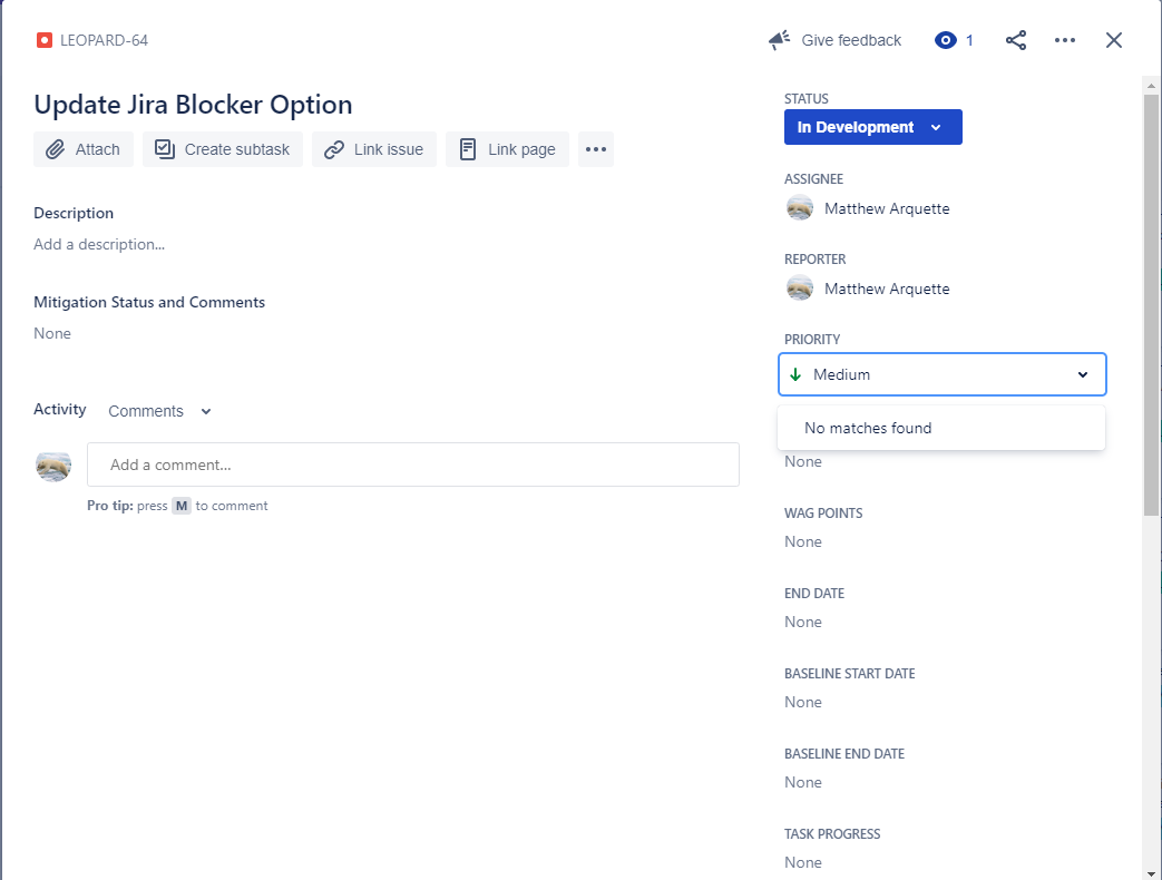 Jira Priority New Issue View Issue.png Jira Priority New Issue View Issue.png