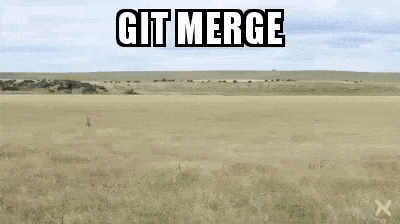 git merge.gif git merge.gif