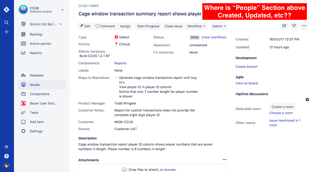 my issue view.png my issue view.png