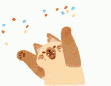 catconfetticartoonGIF.gif catconfetticartoonGIF.gif
