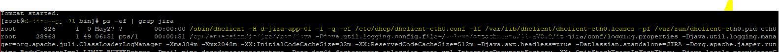 dhclient.JPG dhclient.JPG