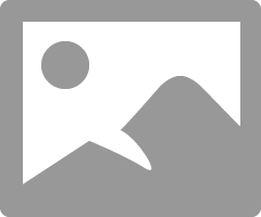 Screenshot 2024-12-10 145601.png