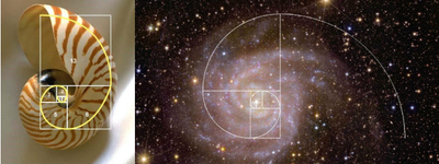 fionacci.png fionacci.png