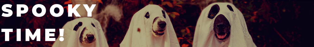 WillM_2-1635277859671.png WillM_2-1635277859671.png