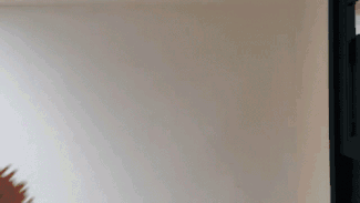 ItalianNightmareWebpacGIF.gif ItalianNightmareWebpacGIF.gif