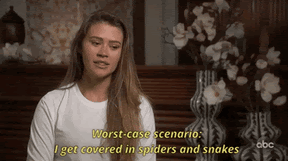 SusanCS_8-1614618199705.gif SusanCS_8-1614618199705.gif