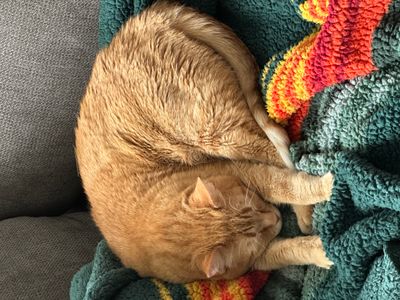 Image.jpeg Image.jpeg