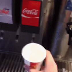 soda-fountain.gif soda-fountain.gif