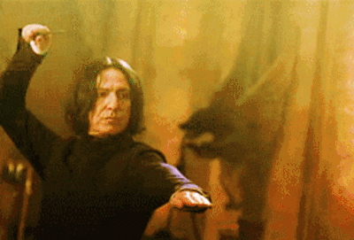 ExpelliarmusGIF.gif ExpelliarmusGIF.gif