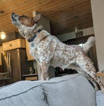 MeganDibble_2-1663706176835.png MeganDibble_2-1663706176835.png