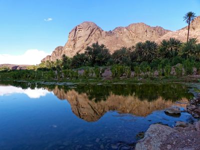 mxi-art-9KMv623KgGA-unsplash.jpg mxi-art-9KMv623KgGA-unsplash.jpg