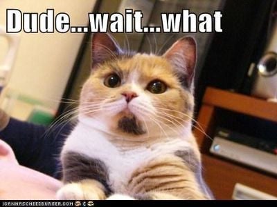 joe_lipski_0-1583253198670.jpeg joe_lipski_0-1583253198670.jpeg