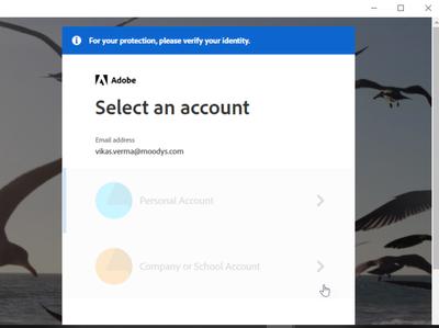 Vikas038_0-1607439356866.png Vikas038_0-1607439356866.png