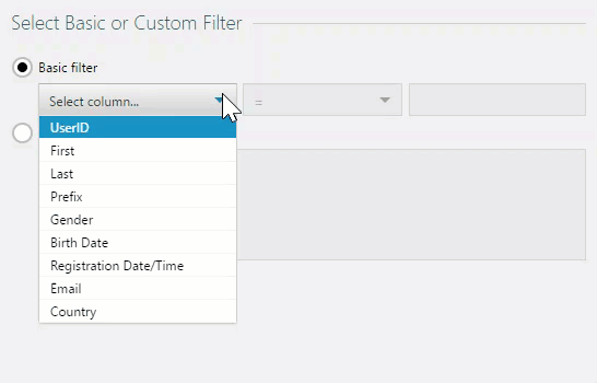 BasicFilterWithStringData.gif BasicFilterWithStringData.gif