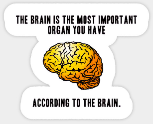 prodigy3.png prodigy3.png