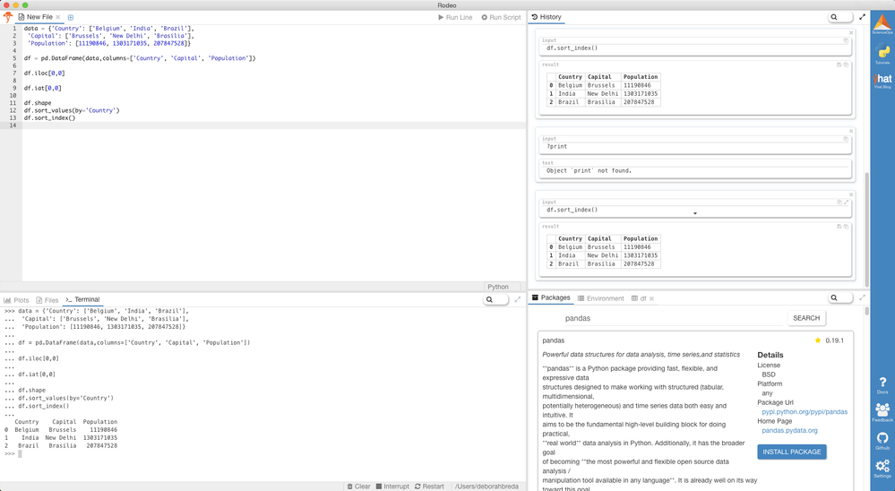 pandas-in-rodeo.png pandas-in-rodeo.png