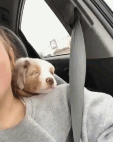 SusanCS_5-1606928705071.gif SusanCS_5-1606928705071.gif