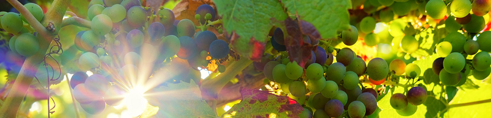 NeilR_1-1579737795186.png NeilR_1-1579737795186.png