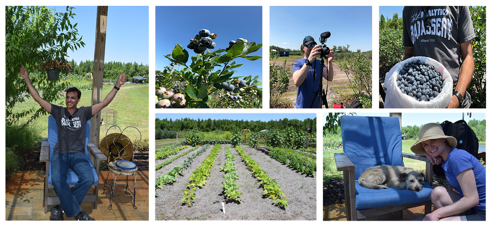 Orlando Collage_blog.png Orlando Collage_blog.png