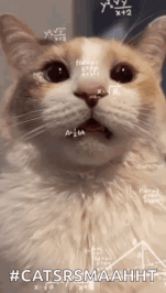CatCatMathGIF.gif CatCatMathGIF.gif
