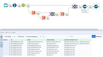 Email domain Extractor & applying common domain against grouped records ...