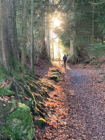 MeganDibble_6-1660670538511.png MeganDibble_6-1660670538511.png