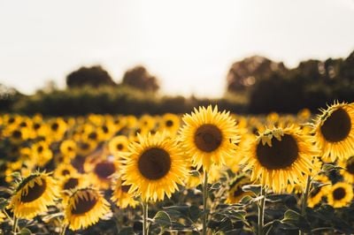 jordan-cormack-79RuacUiXUI-unsplash.jpg jordan-cormack-79RuacUiXUI-unsplash.jpg