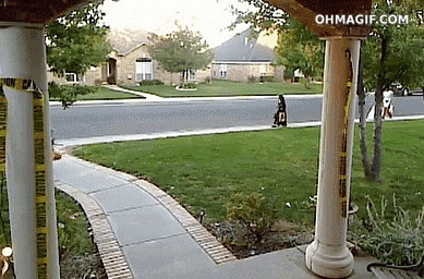 kid_scare3.gif kid_scare3.gif