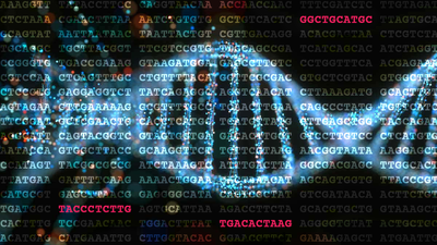 DNA Carousel Image.png DNA Carousel Image.png