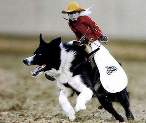 data wranglin 2.png data wranglin 2.png