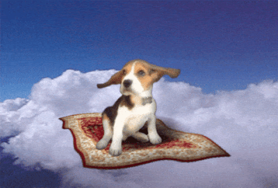SusanCS_2-1606928706151.gif SusanCS_2-1606928706151.gif