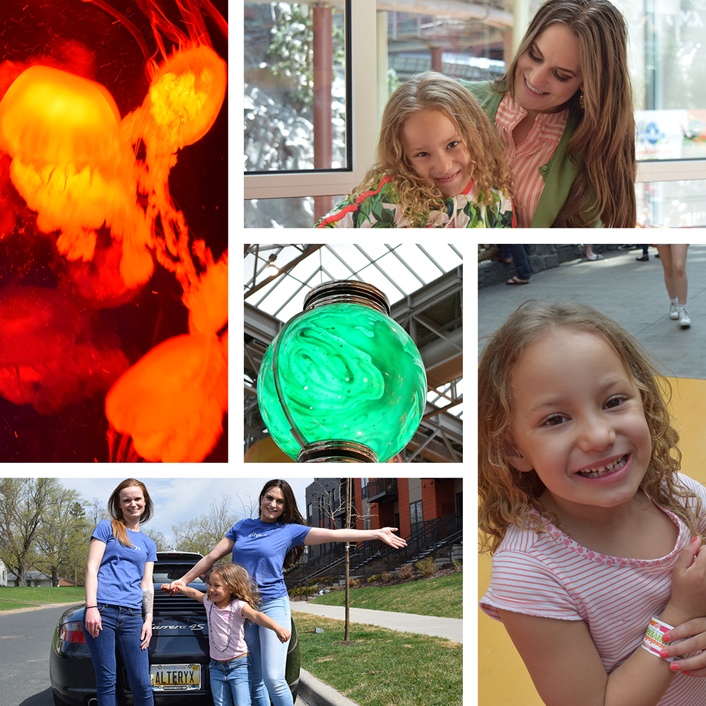 Tessa Collage.png Tessa Collage.png