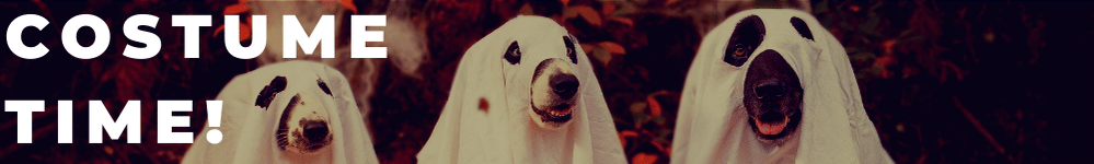 Community FAQ.png Community FAQ.png