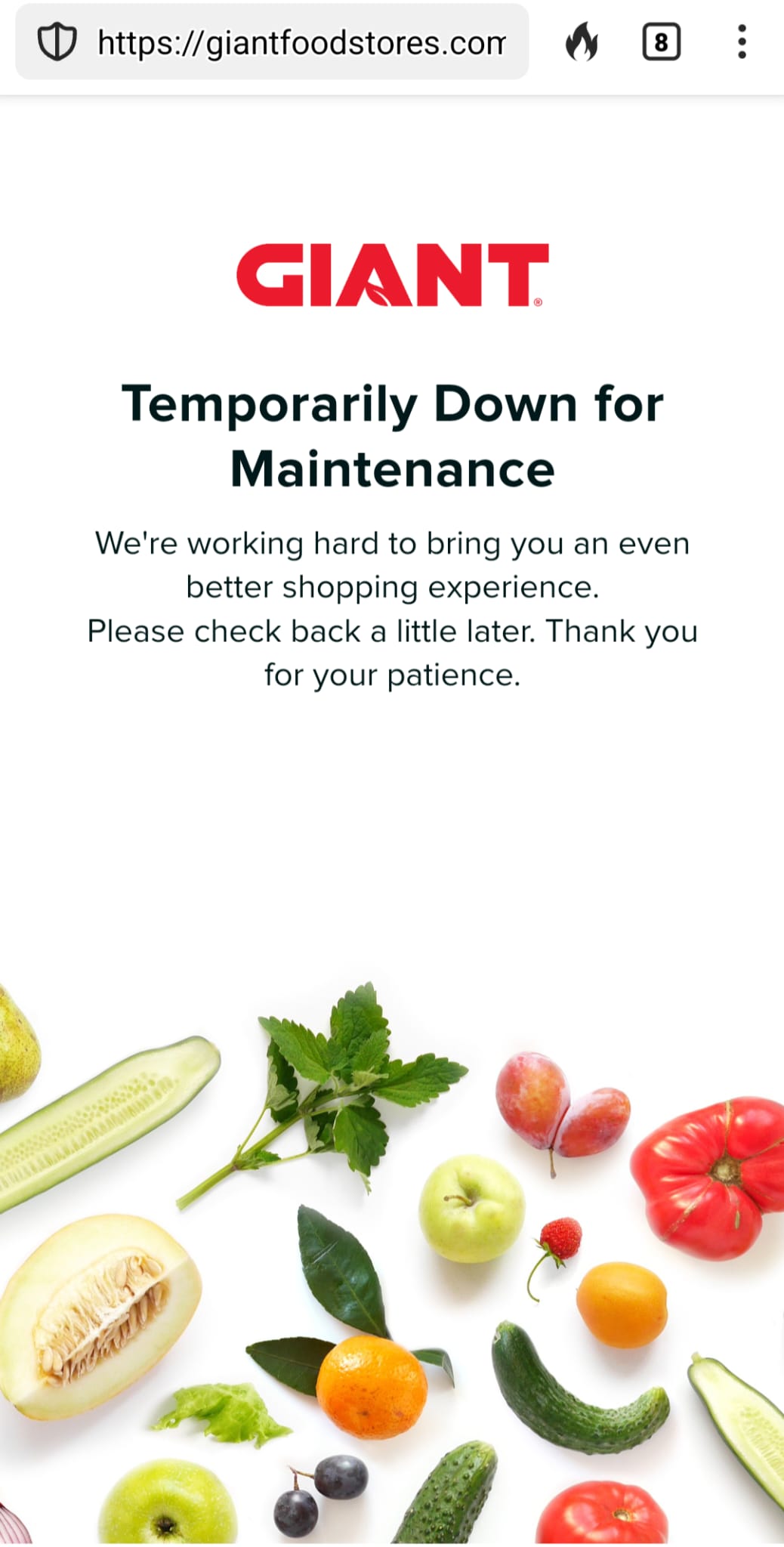 WhatsApp Image 2024-02-25 at 13.48.36.jpg