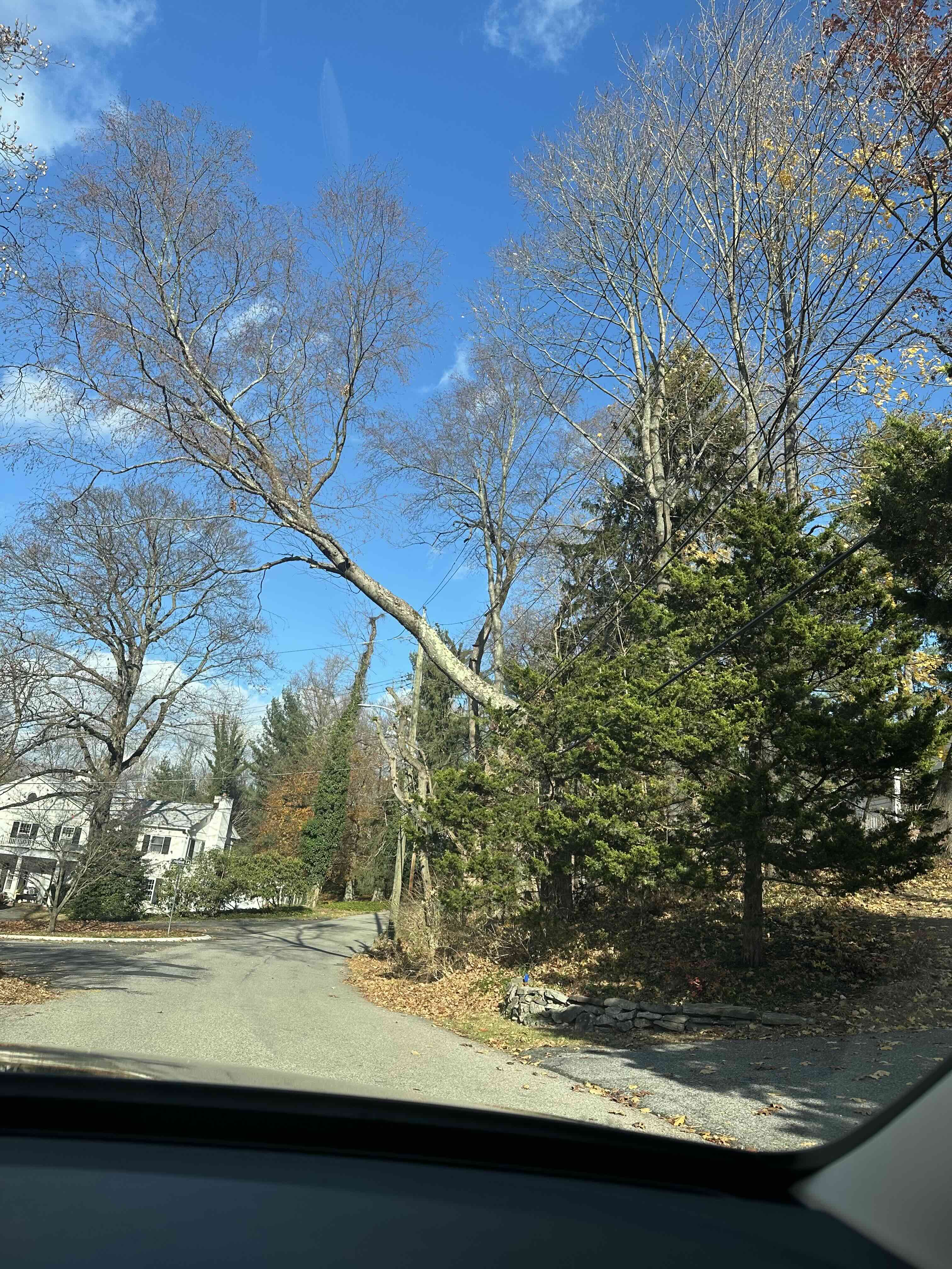 River Rd Briarcliff Manor.jpg