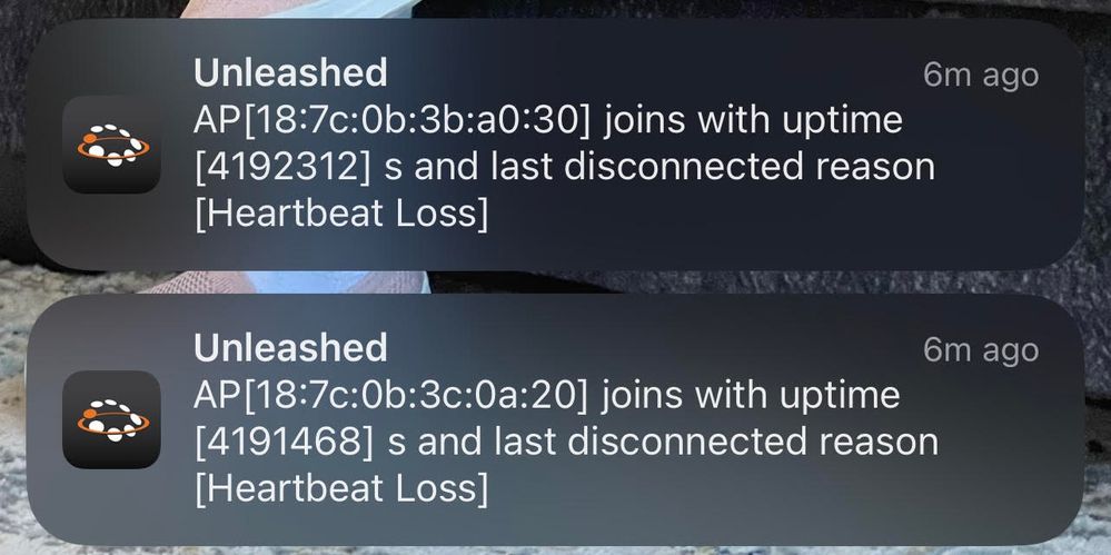 Unleashed.jpg Unleashed.jpg