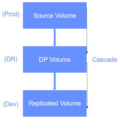 10.Slide11.jpg 10.Slide11.jpg