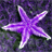 Photo of DavinShokes1
