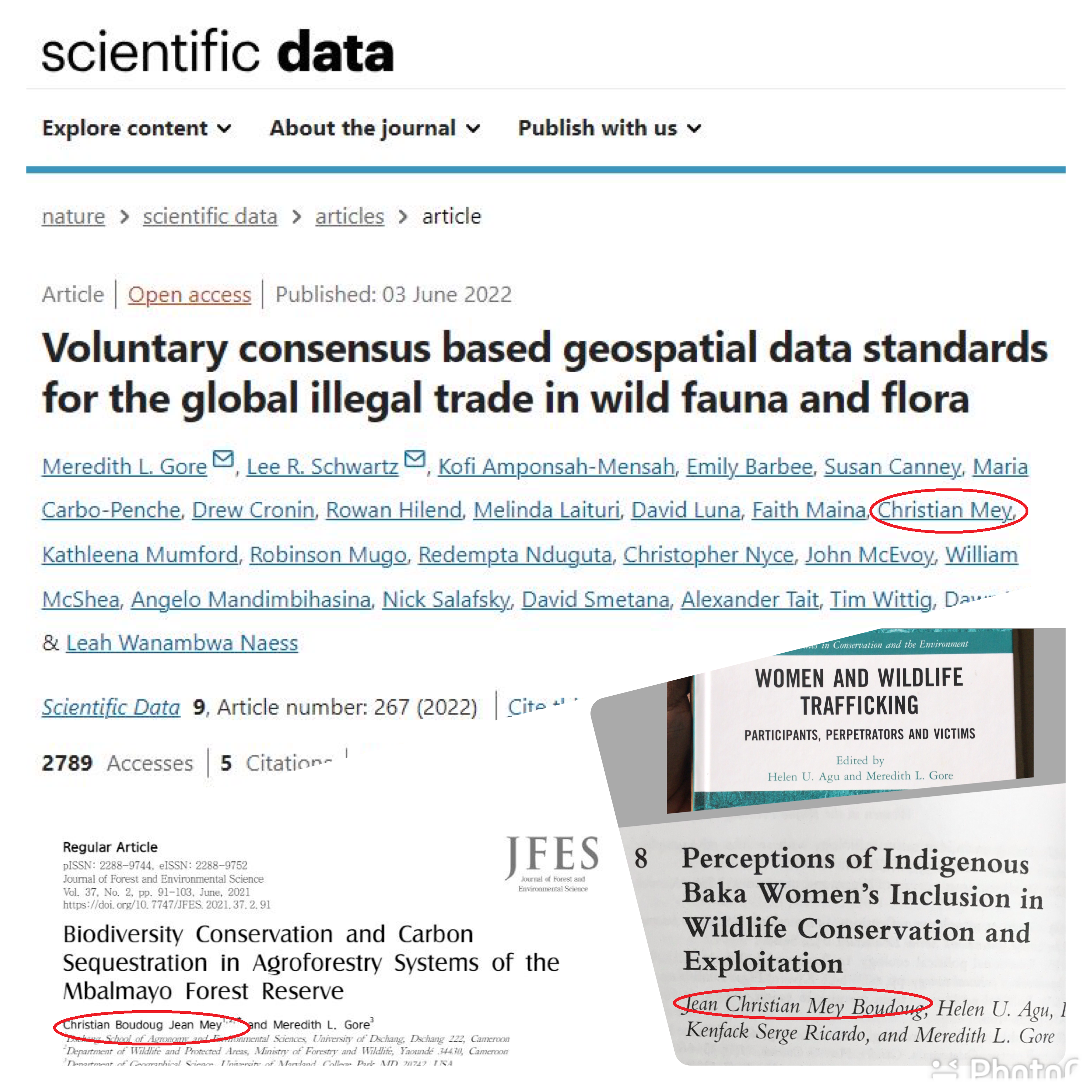 Articles Mey.PNG Articles Mey.PNG
