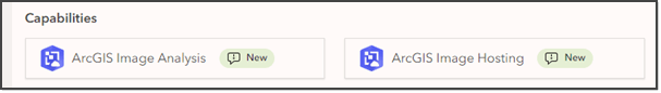 CapabilitiesDesc.png CapabilitiesDesc.png
