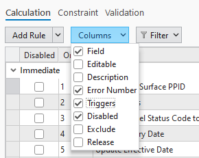 Attribute Rule Columns.png Attribute Rule Columns.png