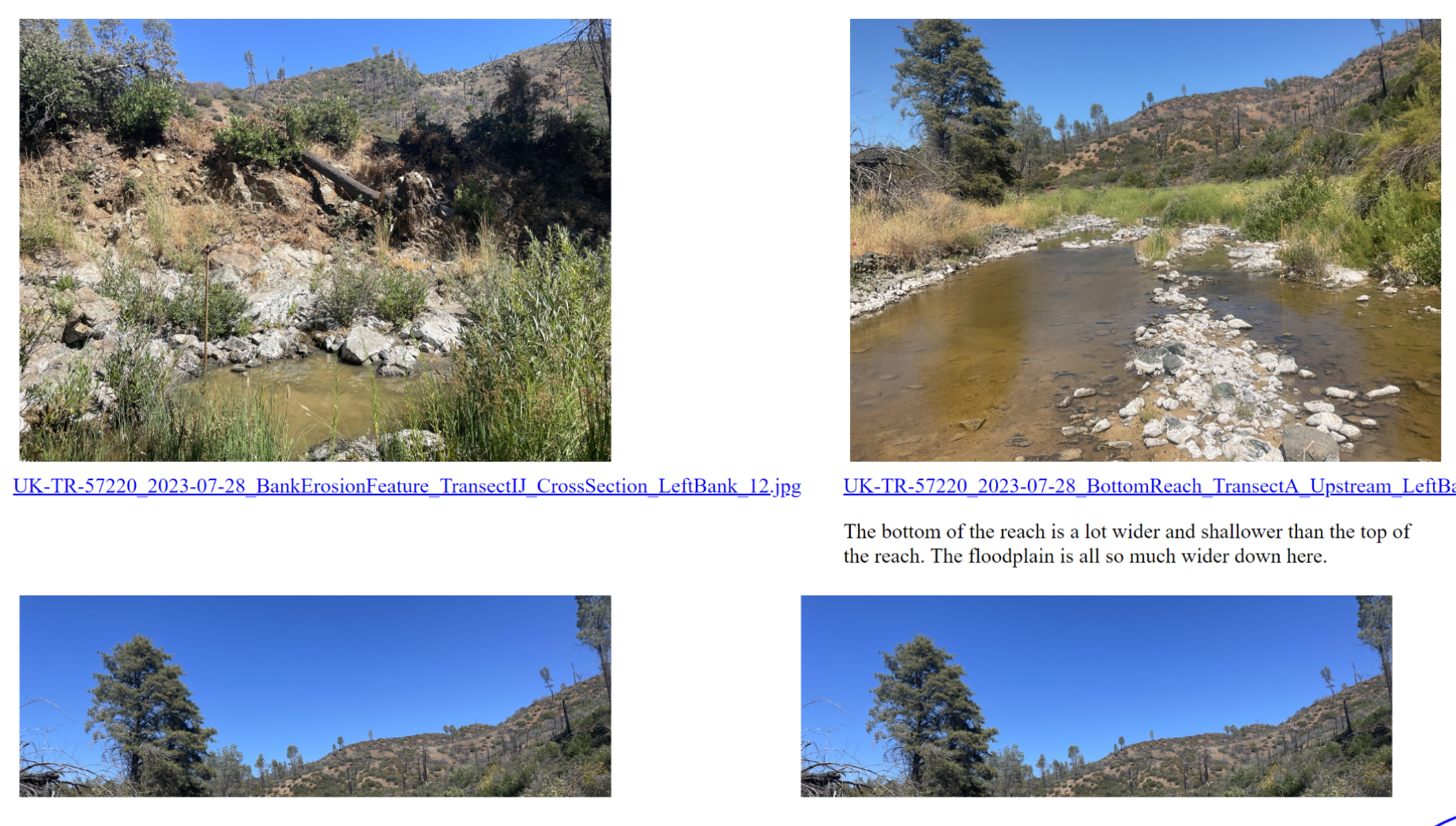 DougBrowning_1-1724851506950.png DougBrowning_1-1724851506950.png
