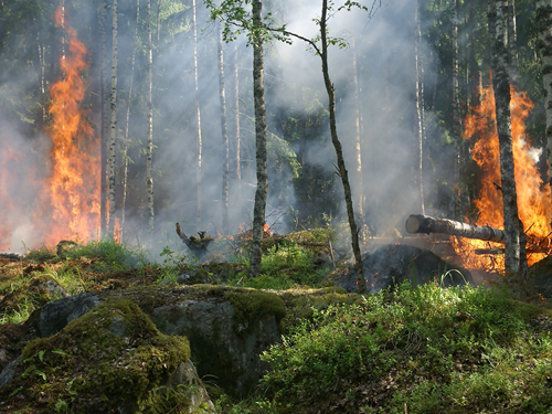 calculate-landslide-risk-for-communities-affected-by-wildfires.png calculate-landslide-risk-for-communities-affected-by-wildfires.png