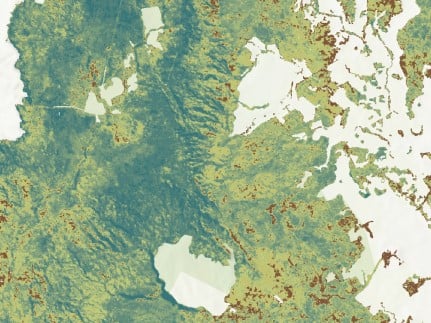 ForestMaturity.jpg ForestMaturity.jpg