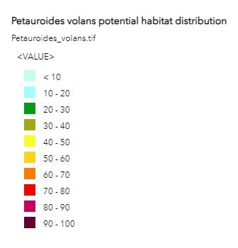 Petauroides volan data.jpg Petauroides volan data.jpg
