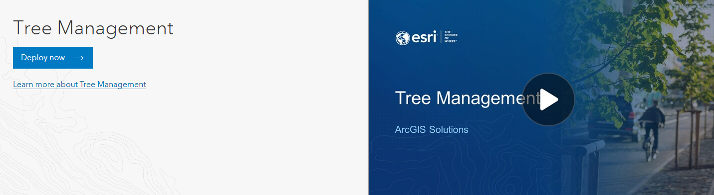 tree-management-solution.png tree-management-solution.png