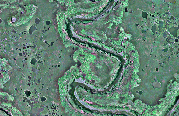 USGS_Marsh_MS.gif USGS_Marsh_MS.gif