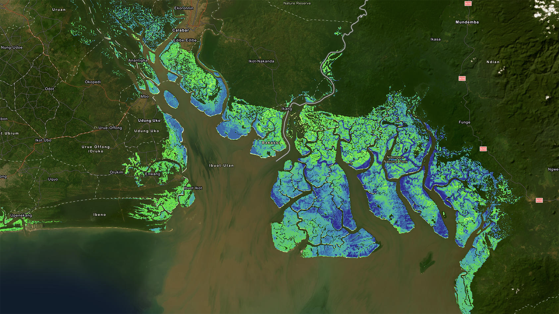 Mangrove_West_Africa_crop.png Mangrove_West_Africa_crop.png