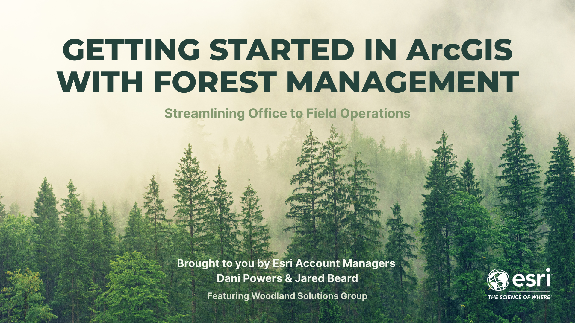 Forestry edit slidespptx (1).png Forestry edit slidespptx (1).png
