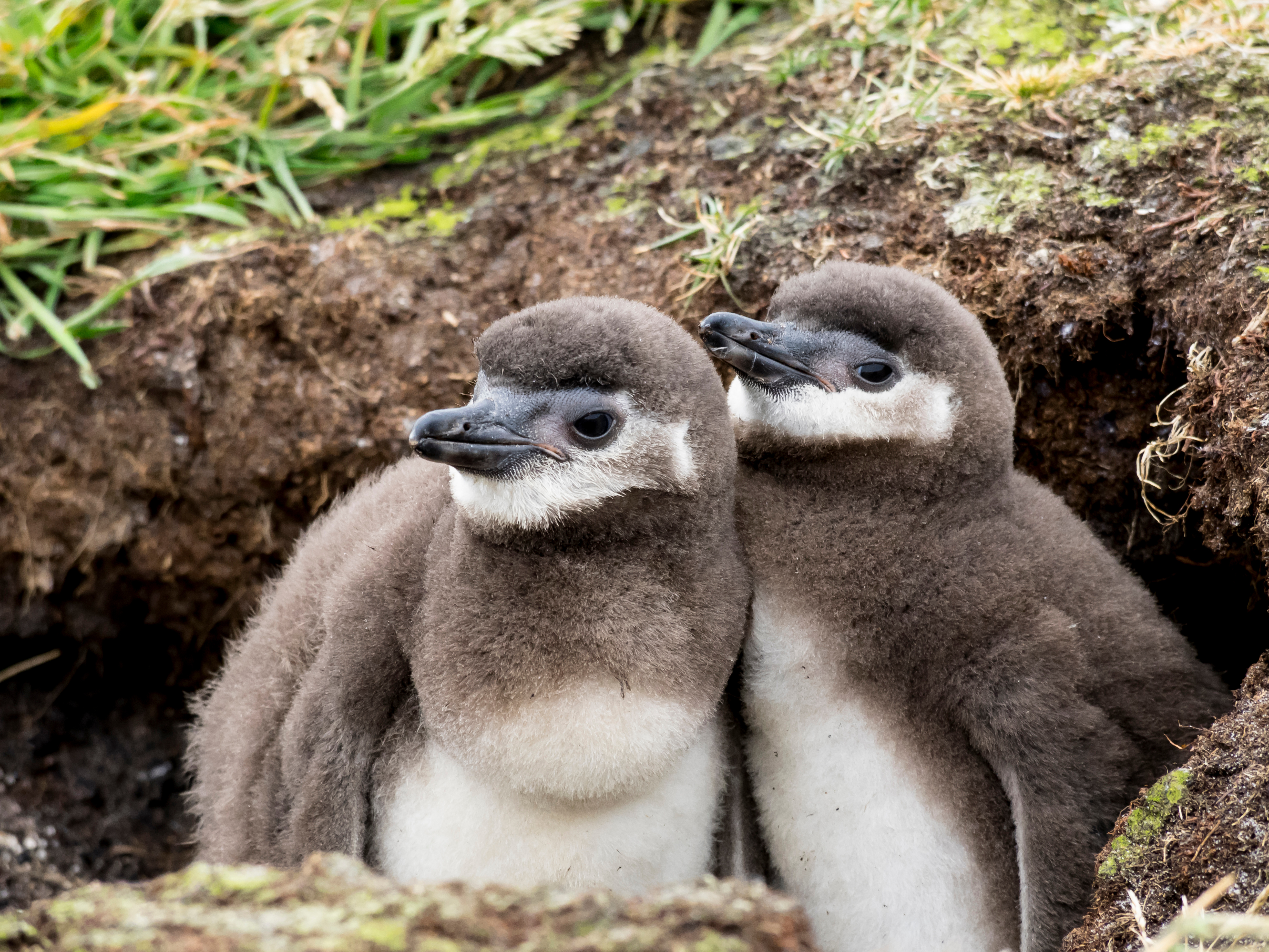AdobeStock_1413520198.jpeg AdobeStock_1413520198.jpeg